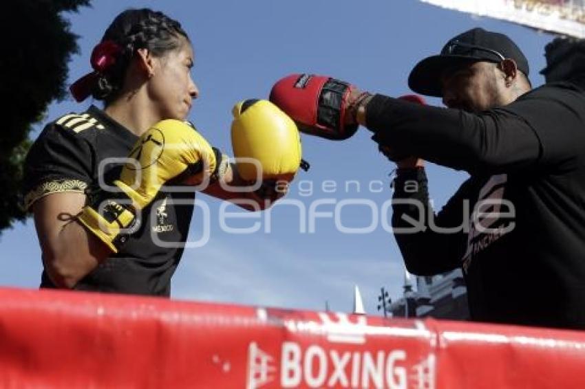 BOX . ENTRENAMIENTO