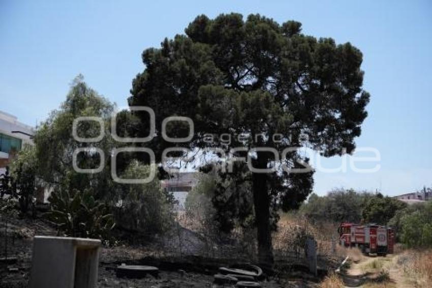 TLAXCALA . INCENDIO FORESTAL
