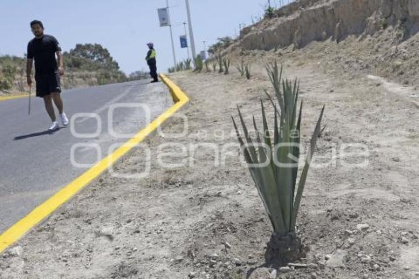 GOBIERNO ESTATAL . FAENA COMUNITARIA