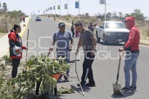 GOBIERNO ESTATAL . FAENA COMUNITARIA