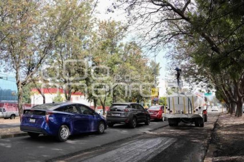 TLAXCALA . TRABAJOS DE REENCARPETAMIENTO