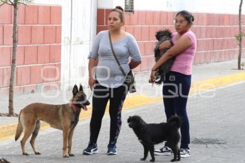 ATLIXCO . VACUNACIÓN ANTIRRÁBICA