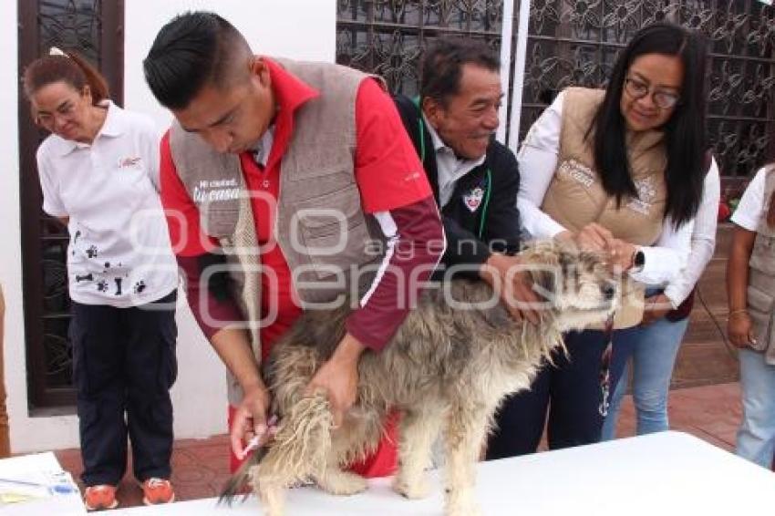 ATLIXCO . VACUNACIÓN ANTIRRÁBICA