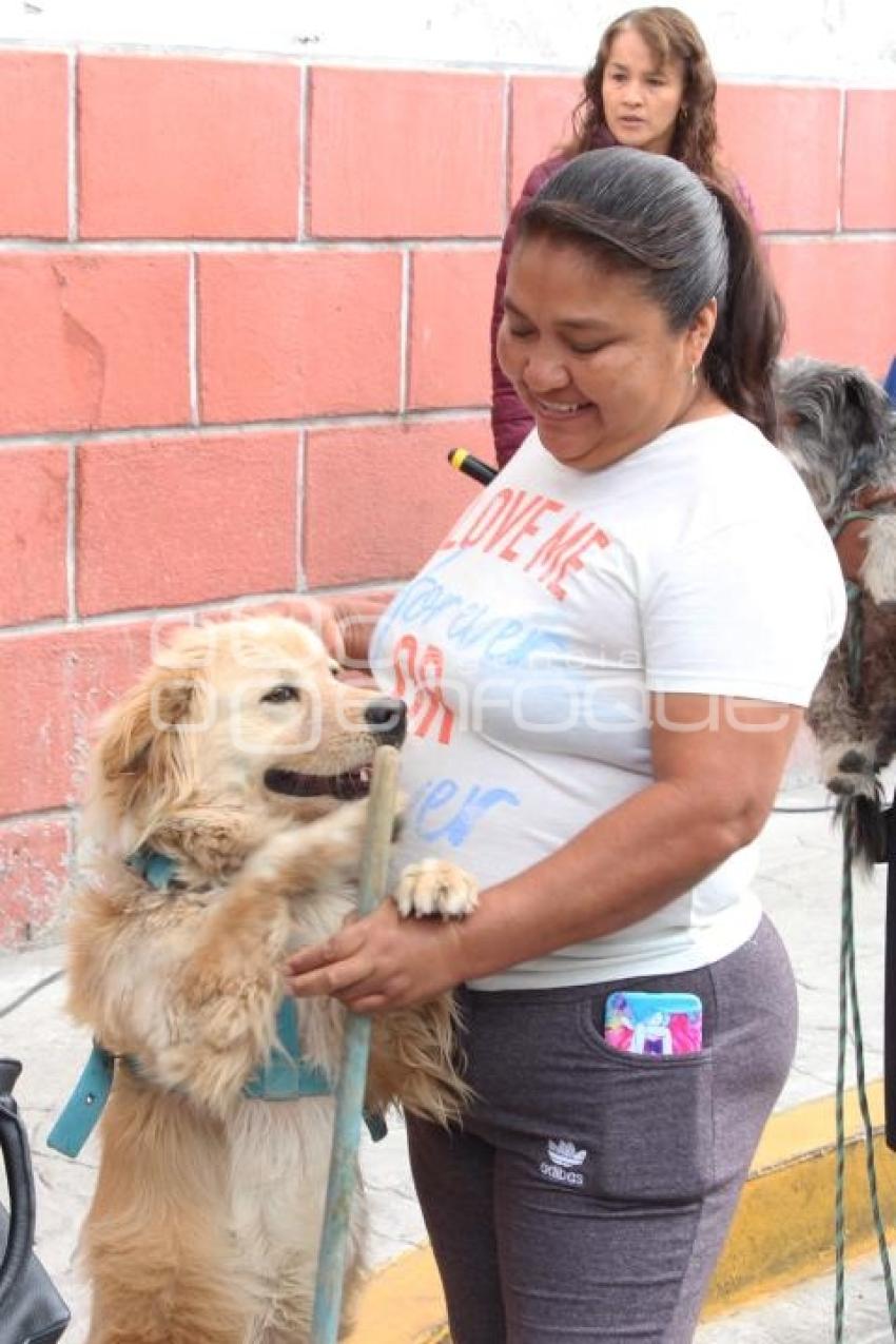 ATLIXCO . VACUNACIÓN ANTIRRÁBICA