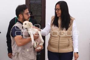ATLIXCO . VACUNACIÓN ANTIRRÁBICA