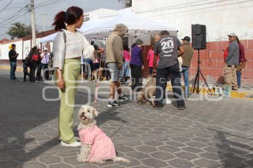 ATLIXCO . VACUNACIÓN ANTIRRÁBICA