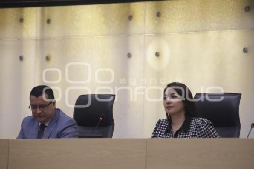 CONGRESO . COMISIÓN PERMANENTE