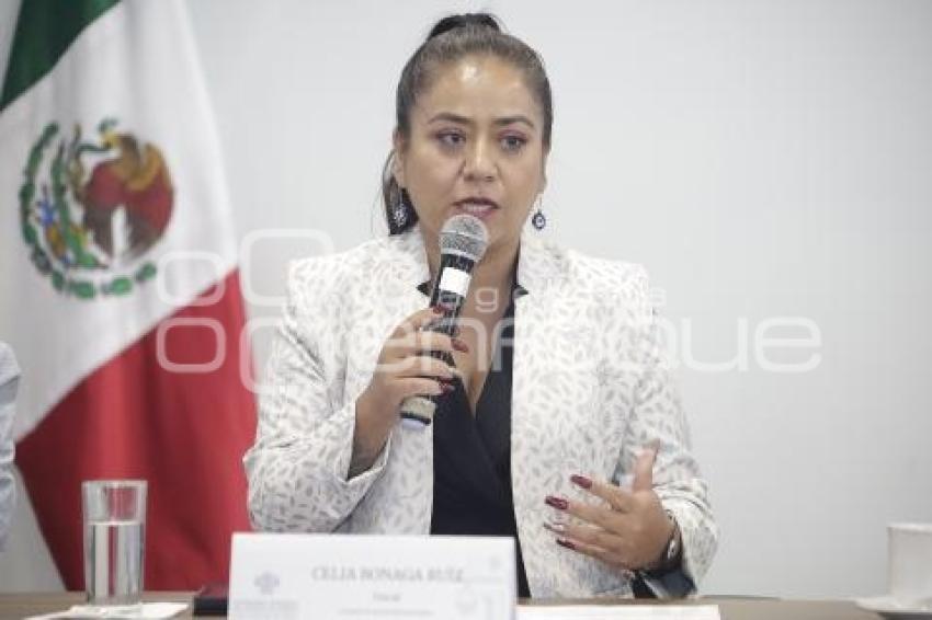 CELIA BONAGA RUIZ