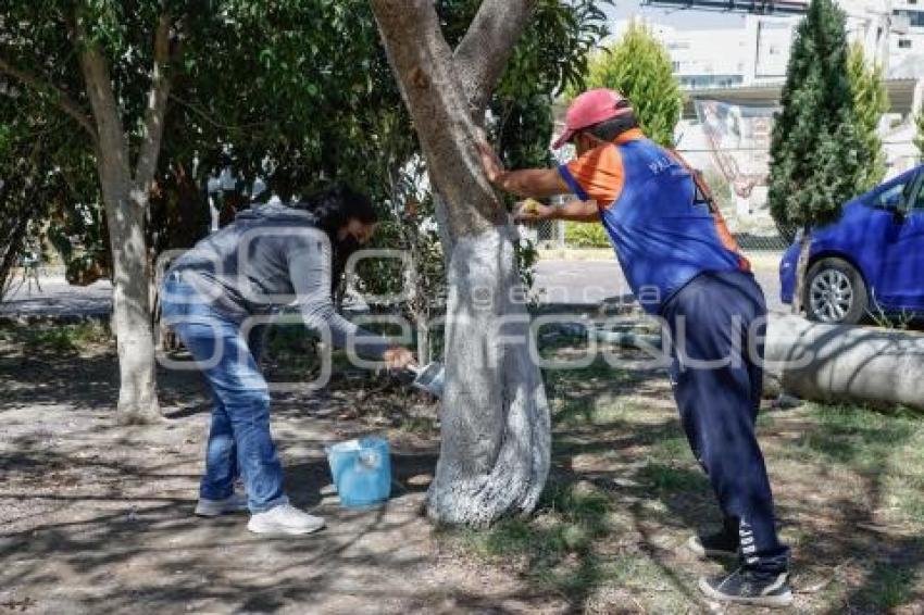 SAN ANDRÉS CHOLULA . JORNADA MANTENIMIENTO