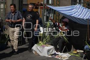 VENTA DE PALMAS