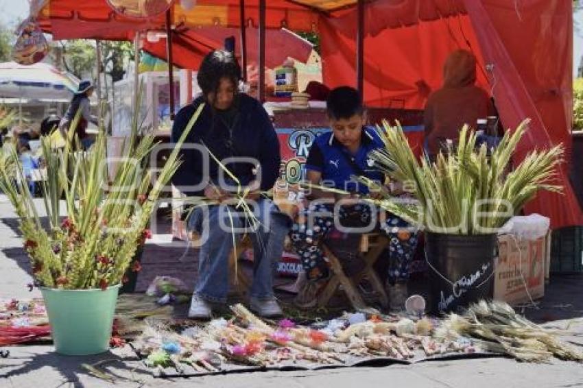 TLAXCALA . VENTA DE PALMAS