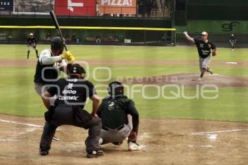 PERICOS DE PUEBLA
