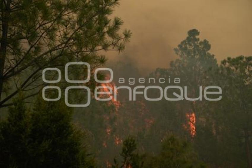 TLAXCALA . INCENDIO ATLTZAYACAN