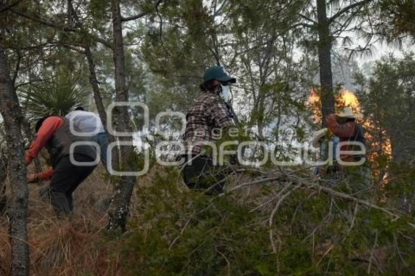 TLAXCALA . INCENDIO ATLTZAYACAN