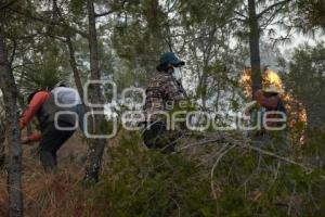 TLAXCALA . INCENDIO ATLTZAYACAN