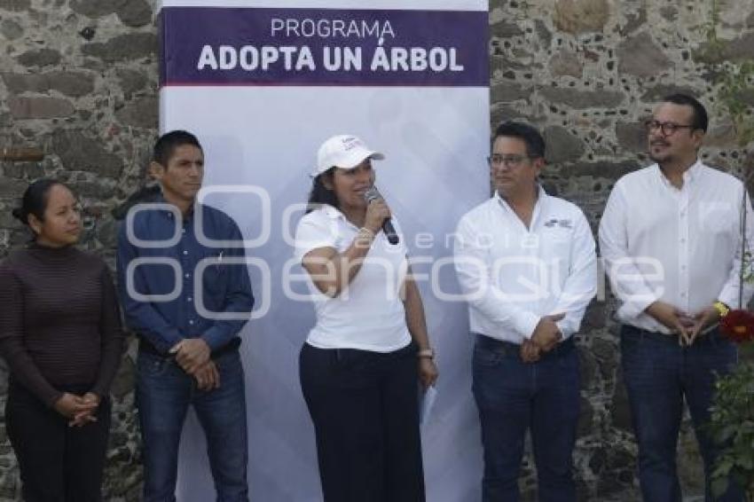 SAN ANDRÉS CHOLULA . ADOPTA UN ÁRBOL