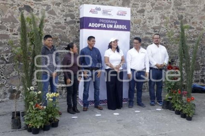SAN ANDRÉS CHOLULA . ADOPTA UN ÁRBOL