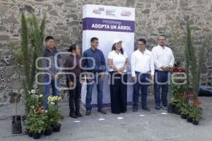 SAN ANDRÉS CHOLULA . ADOPTA UN ÁRBOL