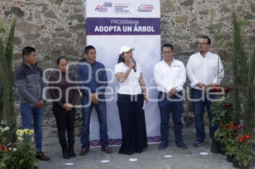 SAN ANDRÉS CHOLULA . ADOPTA UN ÁRBOL