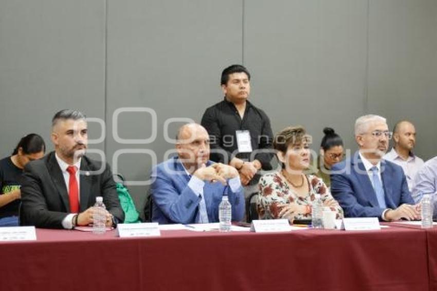 SECRETARÍA DESARROLLO ECONÓMICO . TRABAJO INFANTIL