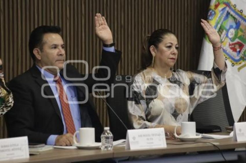 CONGRESO . COMISIÓN DE VIGILANCIA