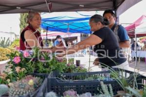 TLAXCALA . FERIA GASTRONÓMICA