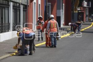 PINTA . GUARNICIONES