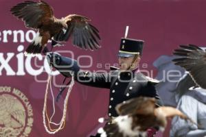 DESFILE 5 DE MAYO