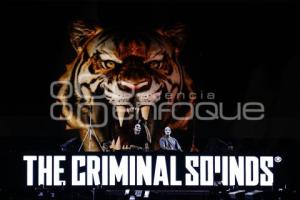 FERIA DE PUEBLA . THE CRIMINAL SOUNDS