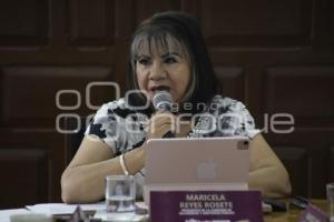 MARICELA REYES ROSETE