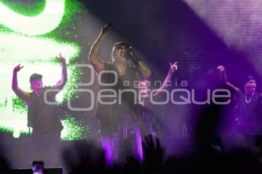 FERIA DE PUEBLA . WISIN