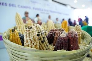 TLAXCALA . ENTREGA DE DESGRANADORAS