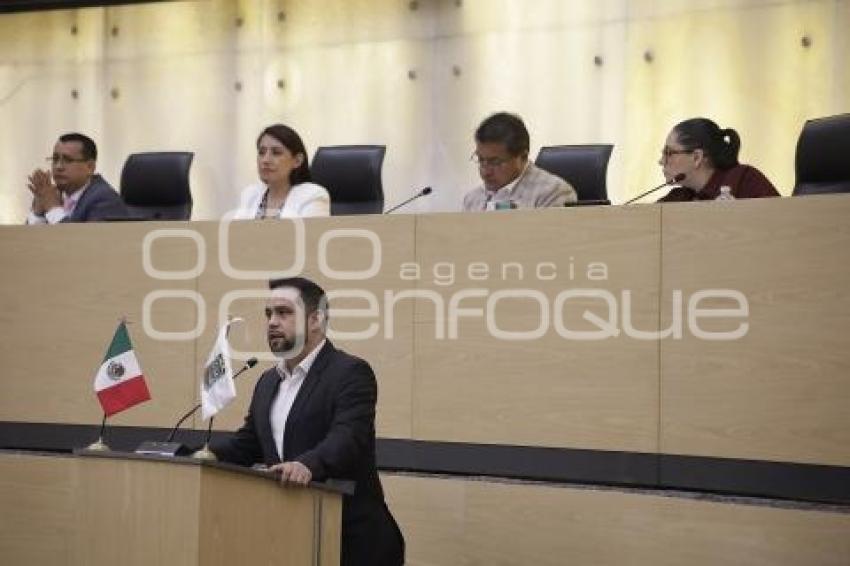 CONGRESO . COMISIÓN PERMANENTE