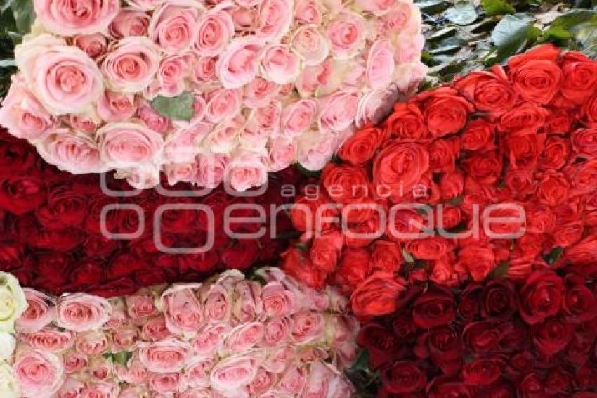 ATLIXCO . FLORES 10 DE MAYO