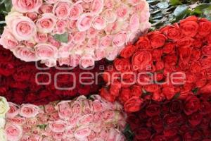 ATLIXCO . FLORES 10 DE MAYO