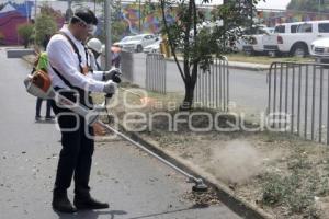 GOBIERNO DEL ESTADO . FAENA COMUNITARIA