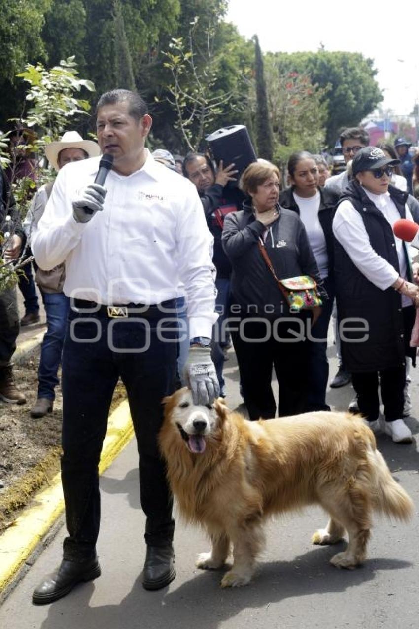 ALEJANDRO ARMENTA