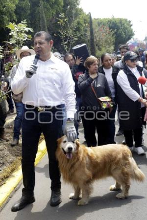 ALEJANDRO ARMENTA