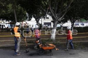 GOBIERNO DEL ESTADO . FAENA COMUNITARIA