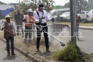GOBIERNO DEL ESTADO . FAENA COMUNITARIA