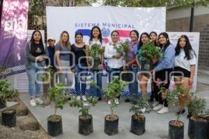 SAN ANDRÉS CHOLULA . ALBERGUE REFORESTACIÓN