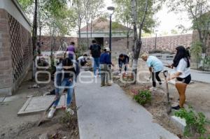 SAN ANDRÉS CHOLULA . ALBERGUE REFORESTACIÓN