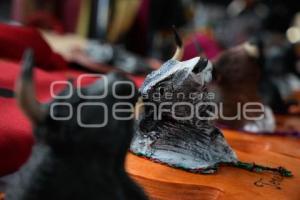 TLAXCALA . FORO FIESTA DE TOROS