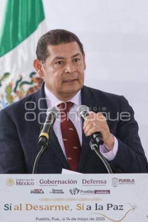 ALEJANDRO ARMENTA