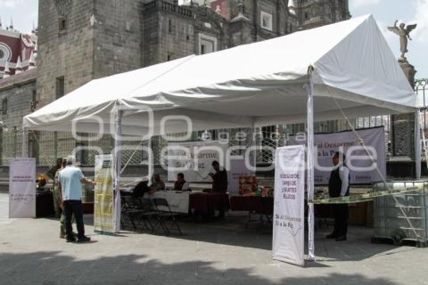 SEDENA . PROGRAMA SÍ AL DESARME