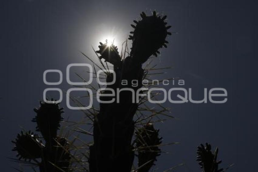 DÍA INTERNACIONAL DE LA LUZ