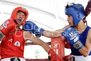 TORNEO DE BARRIOS . BOX