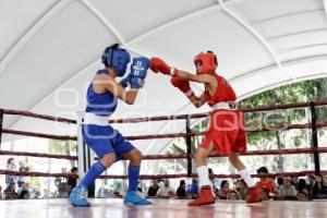TORNEO DE BARRIOS . BOX