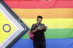DÍA INTERNACIONAL CONTRA LA TRANSFOBIA
