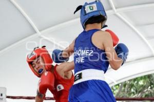 TORNEO DE BARRIOS . BOX